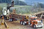 Peterbilt 359 1972 года